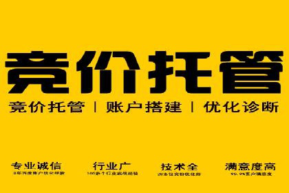 百度推广公司案例展示：揭秘传统行业如何实现互联网转型